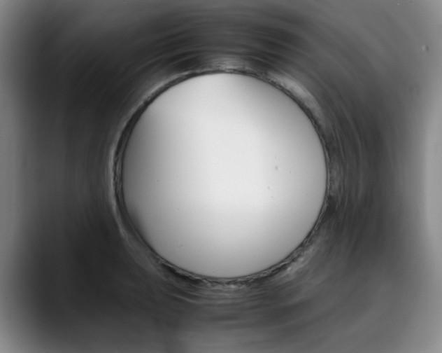 X0000090491039200707130927