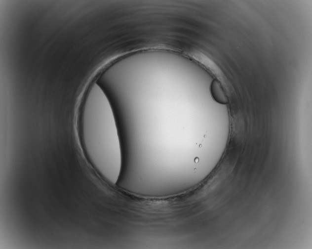 X0000090491043200707130927