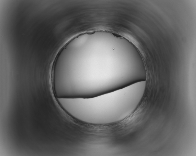 X0000090491055200707130927