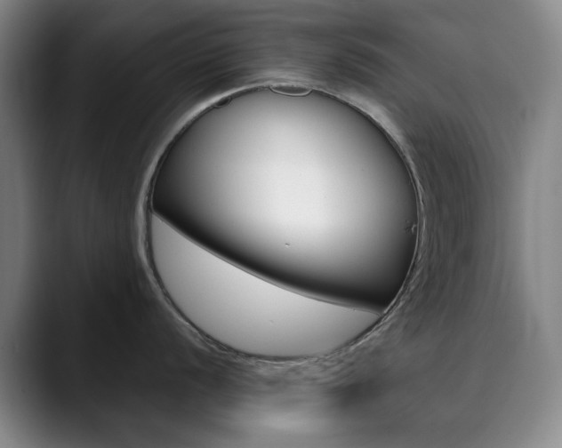X0000090491056200707130927