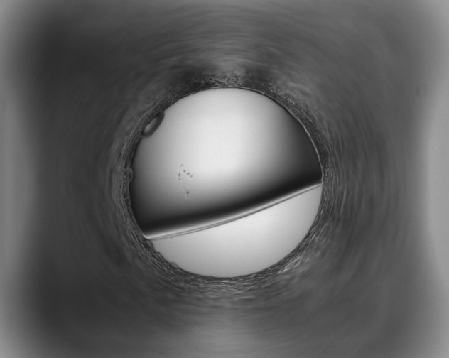 X0000090491057200707130926