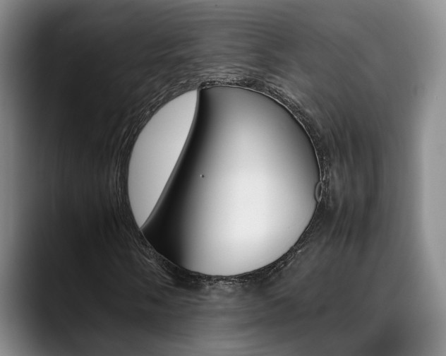 X0000090491058200707130926