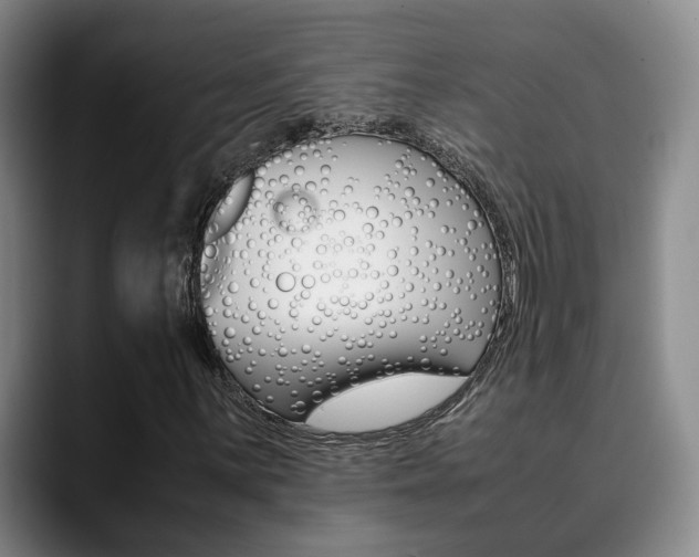 X0000090491059200707130926