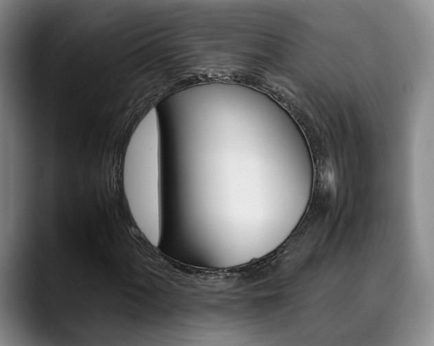 X0000090491060200707130926