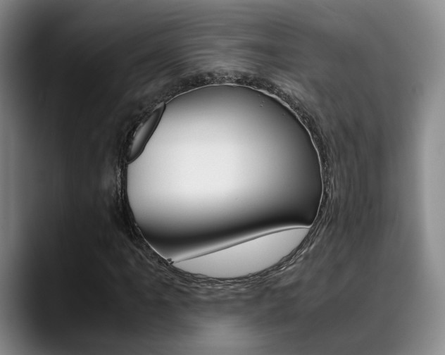 X0000090491061200707130926