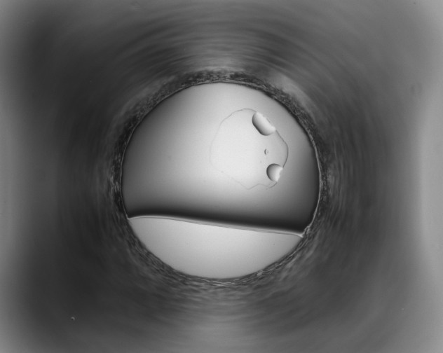 X0000090491064200707130926