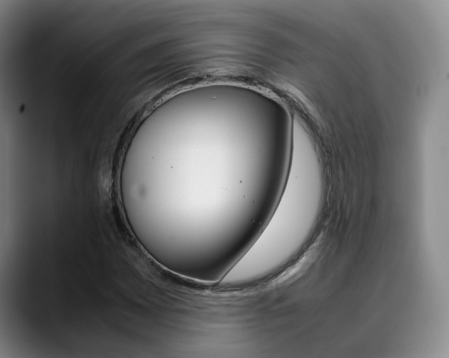 X0000090491065200707130926