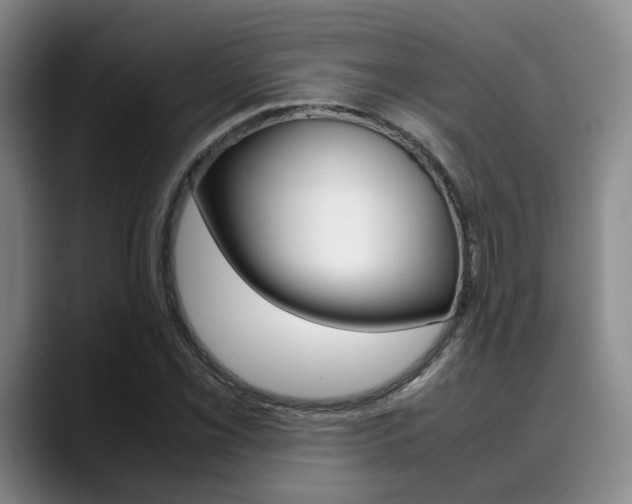 X0000090491069200707130926