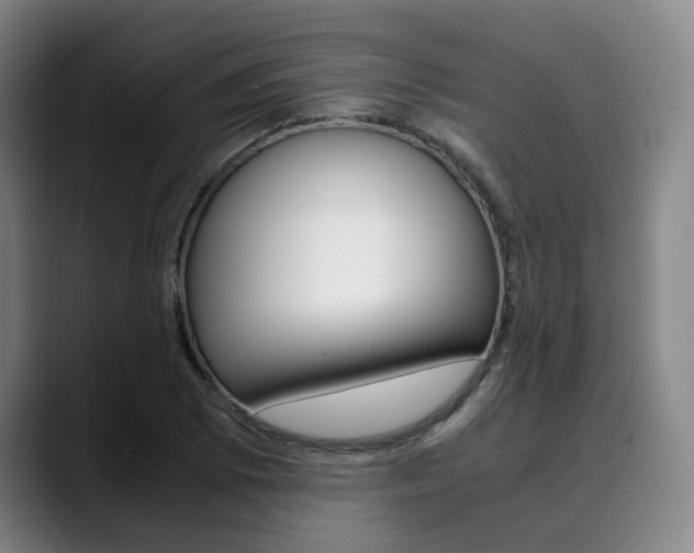 X0000090491073200707130926