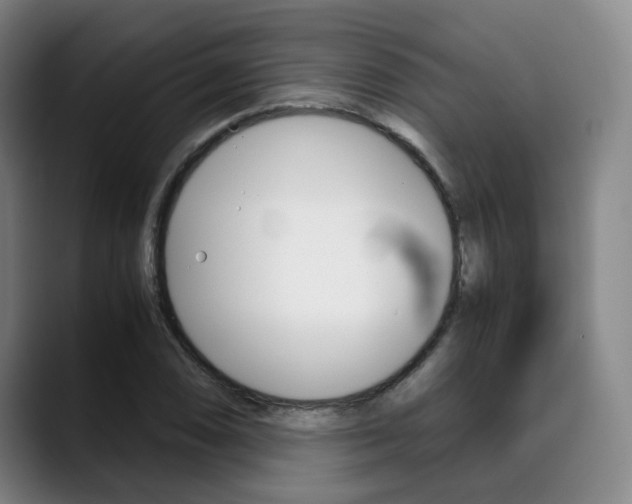 X0000090491074200707130926