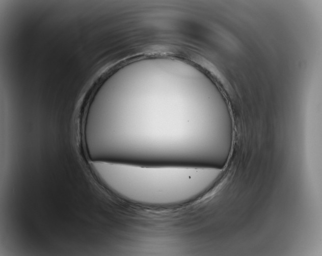 X0000090491075200707130926