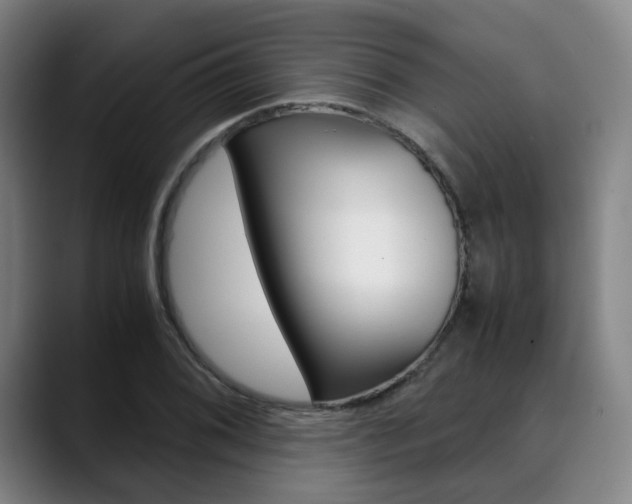 X0000090491076200707130926