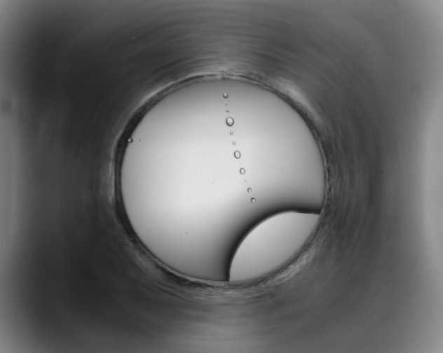 X0000090491079200707130926