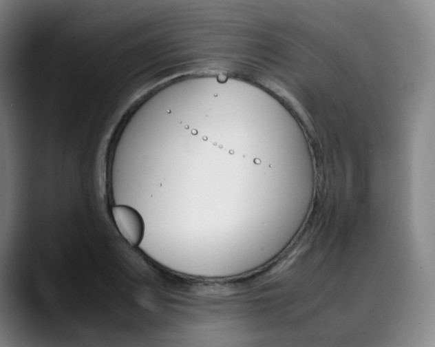 X0000090491083200707130926