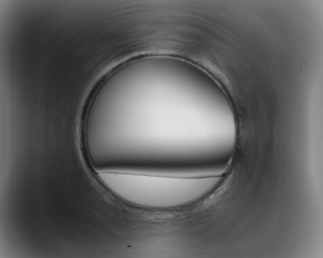 X0000090491085200707130926