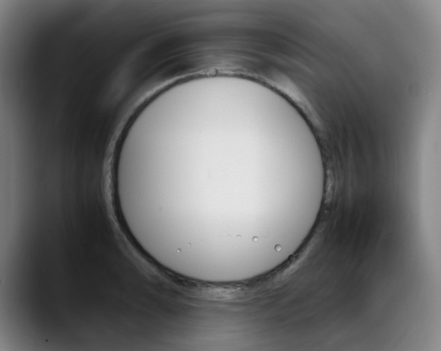 X0000090491086200707130926