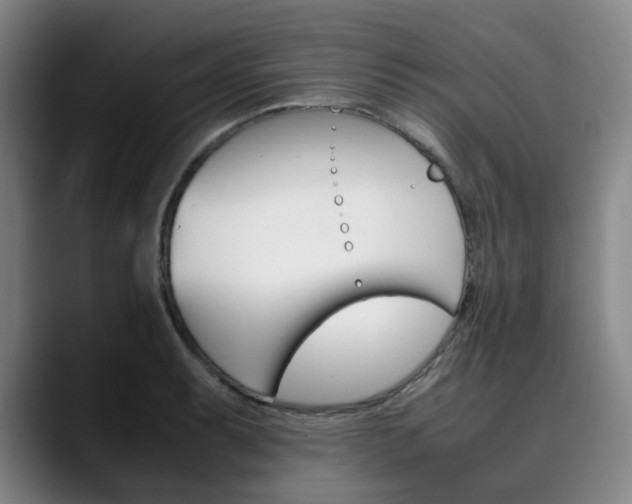 X0000090491087200707130926
