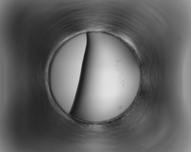X0000090491088200707130926