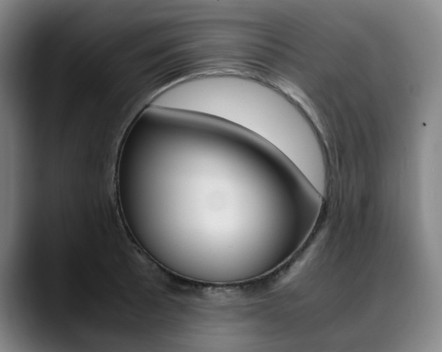 X0000090491089200707130926