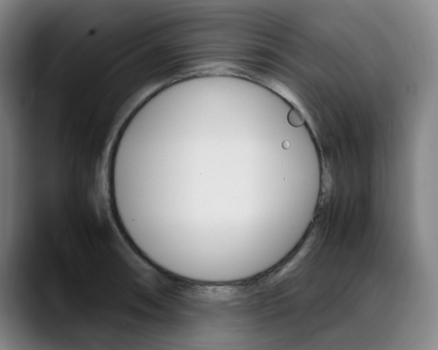 X0000090491090200707130926