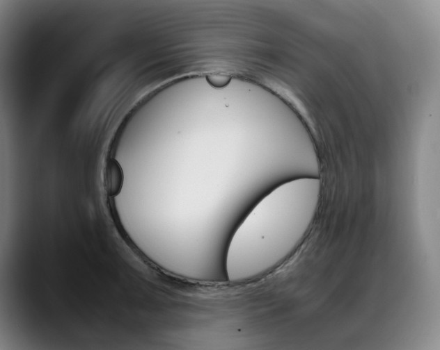 X0000090491091200707130926