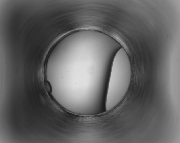 X0000090491092200707130926