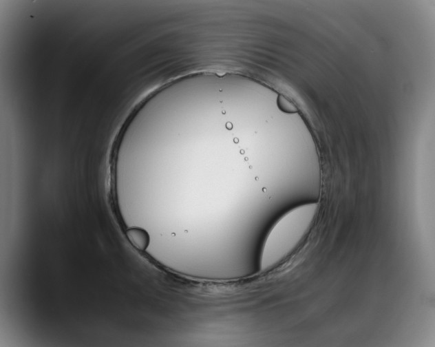X0000090491095200707130926
