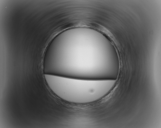 X0000090491097200707130926