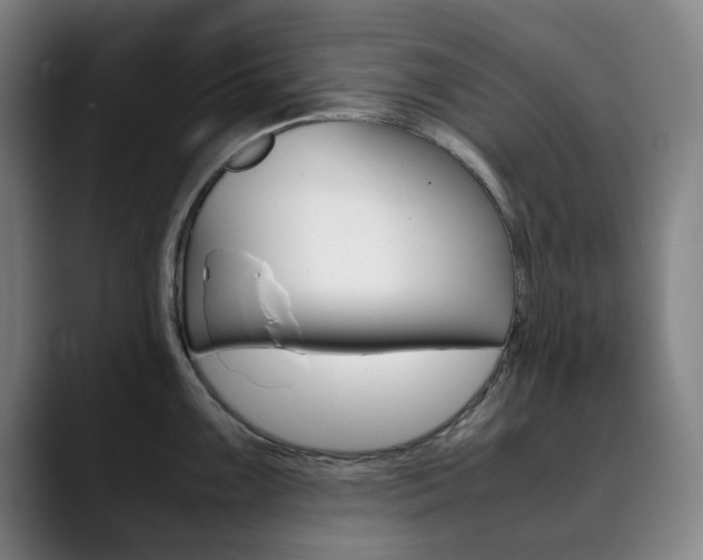 X0000090491099200707130926