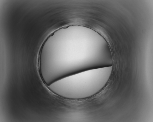 X0000090491103200707130926