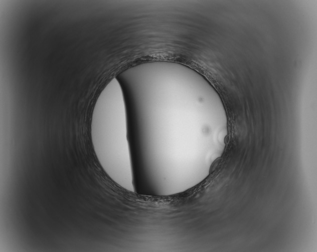 X0000090491106200707130925