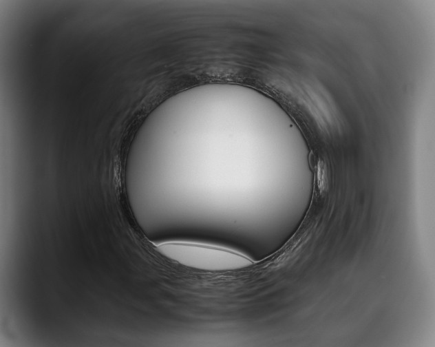 X0000090491107200707130925