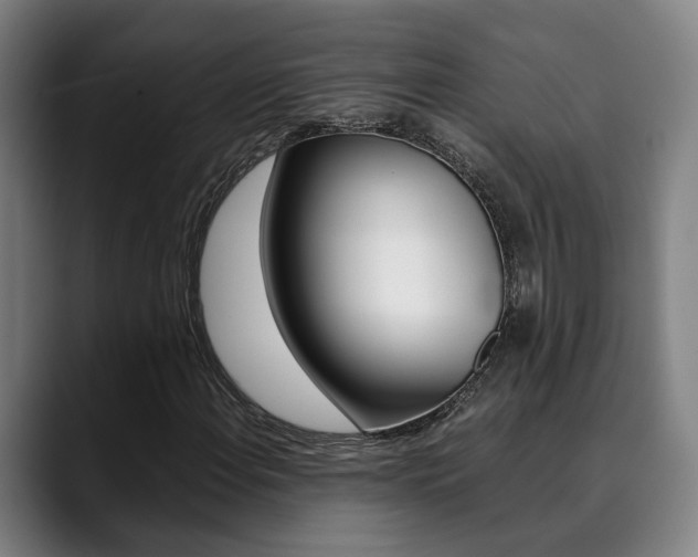 X0000090491108200707130925