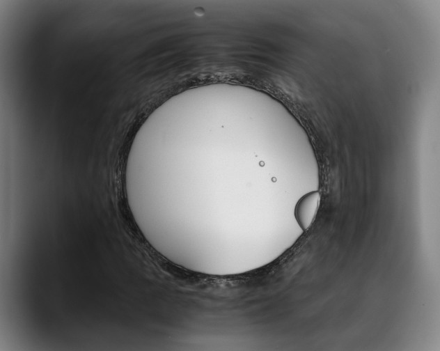 X0000090491109200707130925