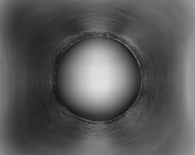 X0000090491110200707130925