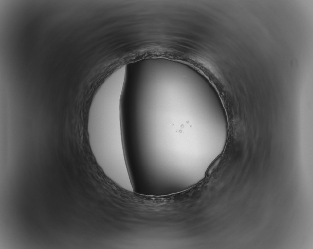 X0000090491111200707130925