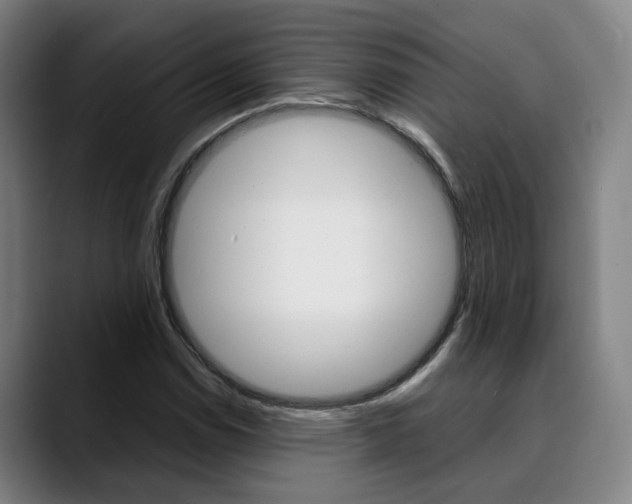 X0000090491114200707130925