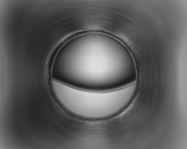 X0000090491118200707130925