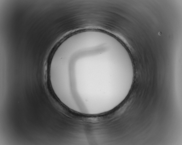 X0000090491126200707130925