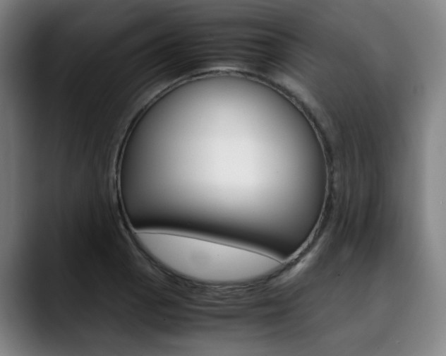 X0000090491129200707130925