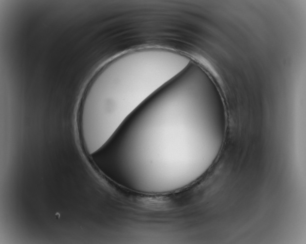X0000090491133200707130925