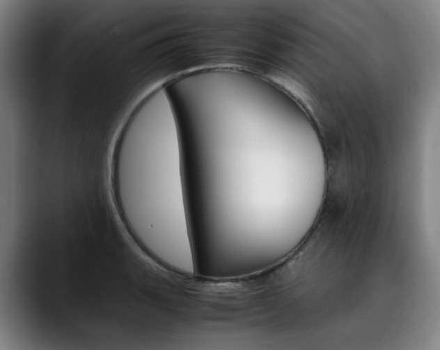 X0000090491135200707130925