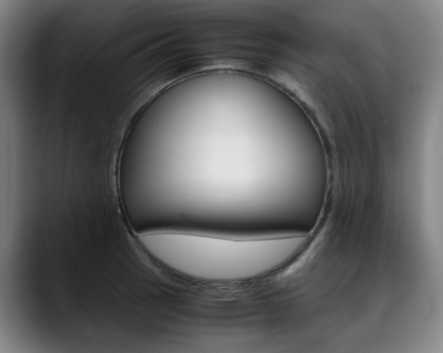 X0000090491137200707130925