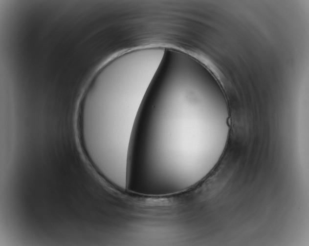 X0000090491142200707130925
