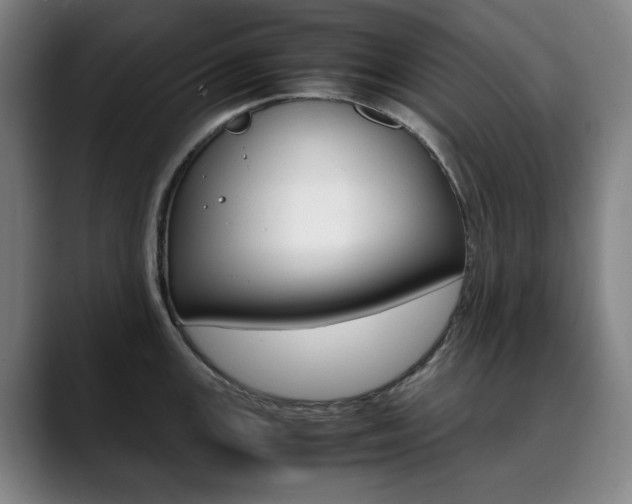 X0000090491147200707130926