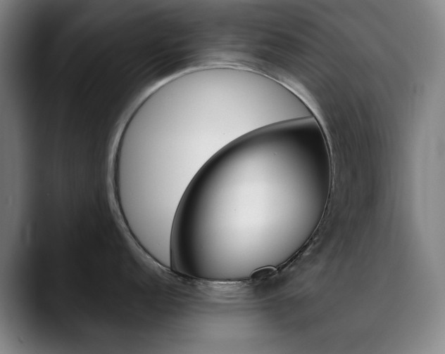 X0000090491152200707130926