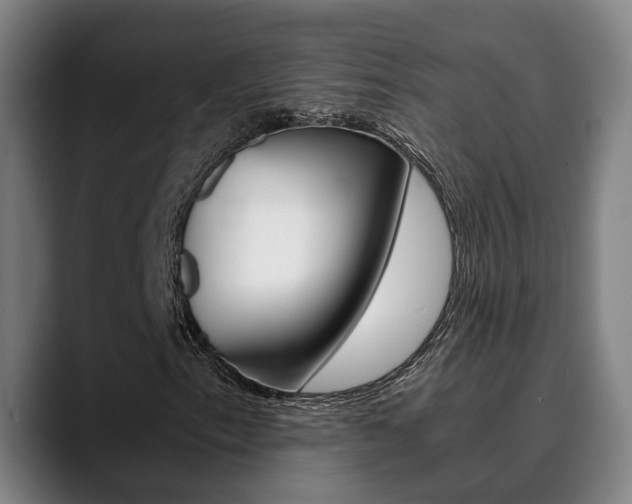 X0000090491153200707130925