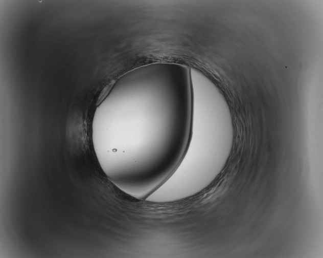 X0000090491156200707130925