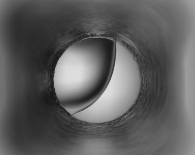 X0000090491160200707130925
