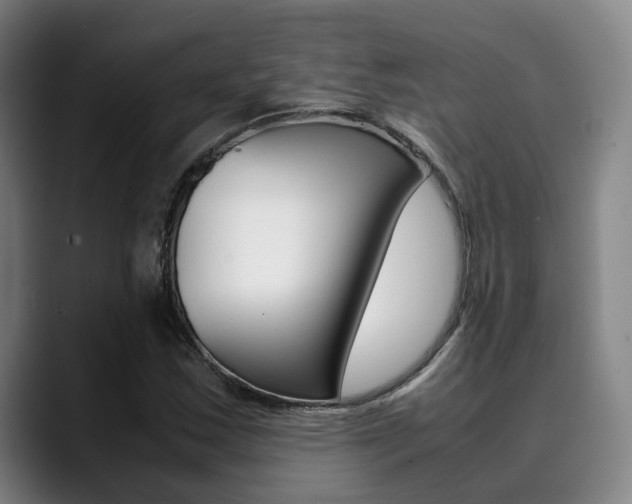 X0000090491163200707130925